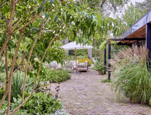 Groen in de hoofdrol bij De Rooy Hoveniers