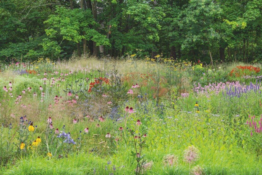 Museum Voorlinden - Fotografie Hans van Horssen - Luxury Gardens Platform