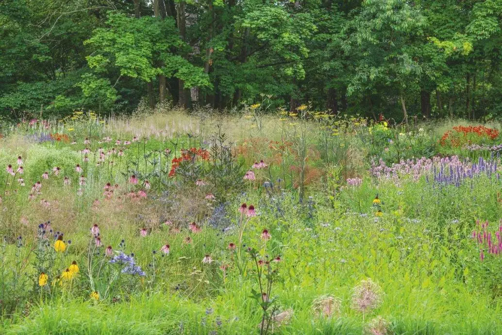 Museum Voorlinden - Fotografie Hans van Horssen - Luxury Gardens Platform