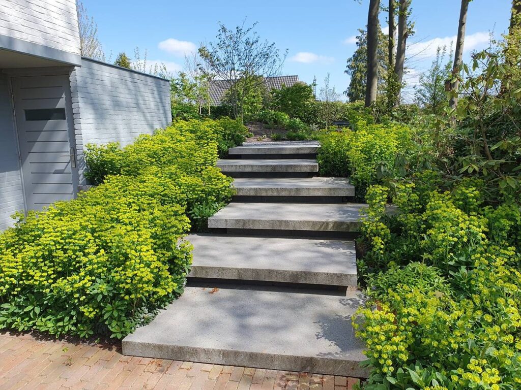 Mocking Hoveniers - Dutch Quality Gardens - Fotografie Daniel Haazebroek Tuin in beeld