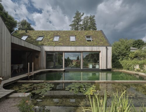 Zwemvijver van Biotop. 100% Natuurbeleving