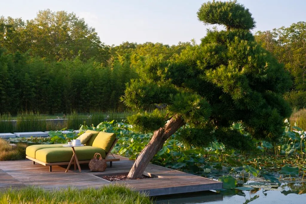 RODA PHILIA - Luxury Gardens Magazine