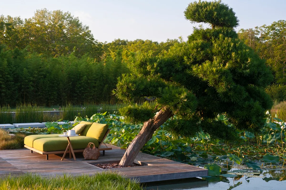 RODA PHILIA - Luxury Gardens Magazine