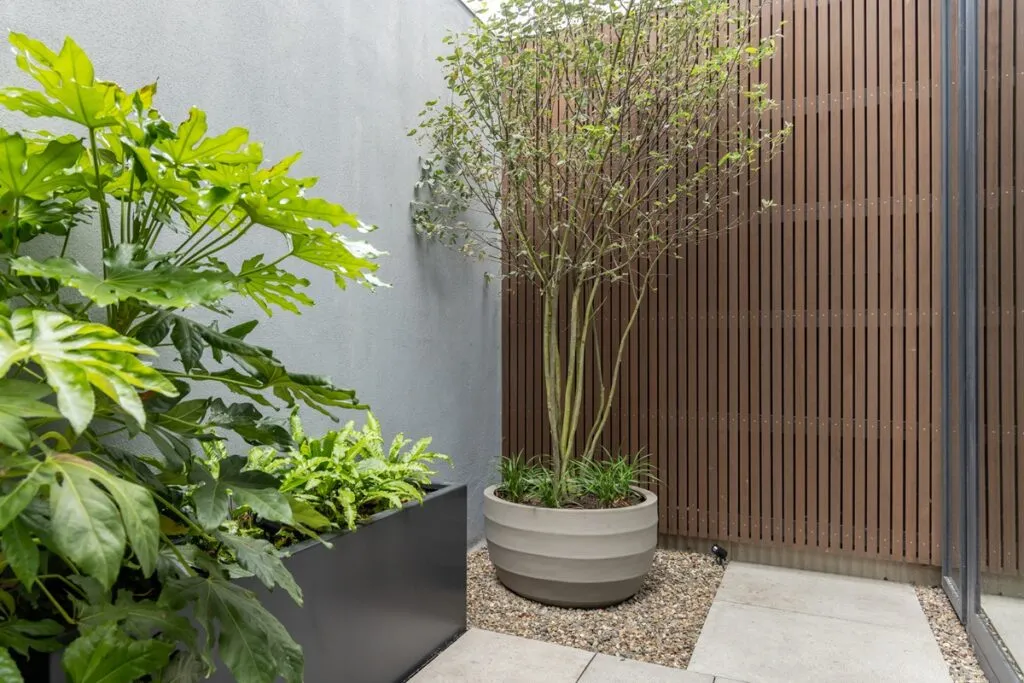 Buro Steef -tuinontwerper Karin van den Hoven - Luxury Gardens 8 - Najaar 2025 5