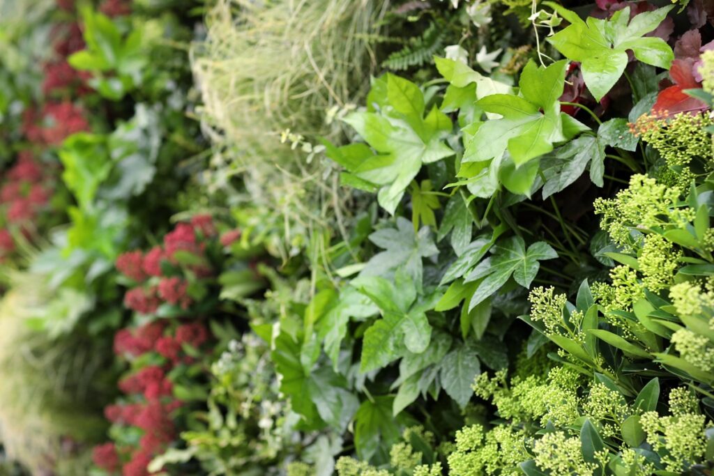 ADEZZ x Greeningup - Luxury Gardens Magazine