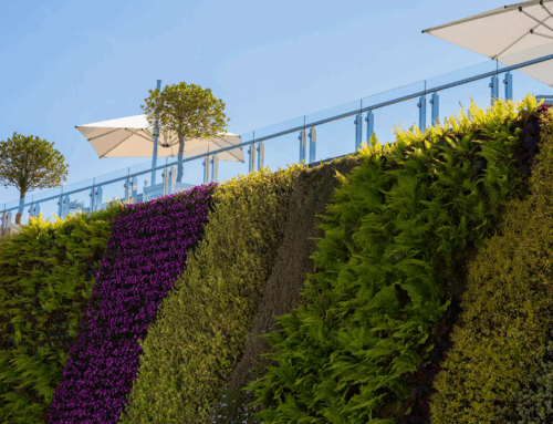 ADEZZ en Greeningup bundelen krachten