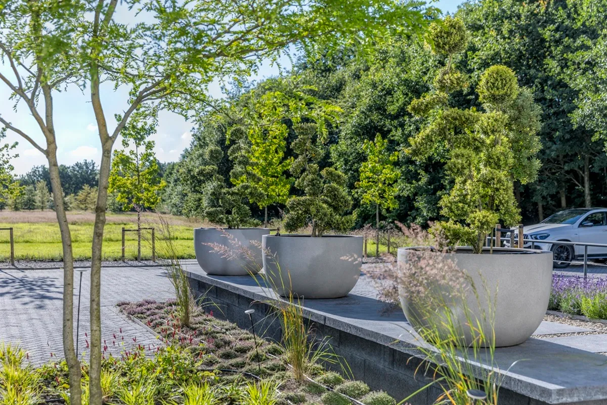 Roald Tuindesign - Byzonder Buyten - Foto Philip Paleewong - Luxury Gardens Magazine