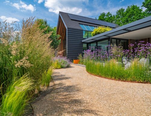 Omarmd door weelderig groen