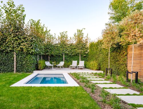 Minizwembad met wowfactor