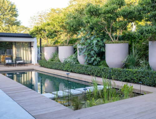 Exotische kusttuin in Renesse