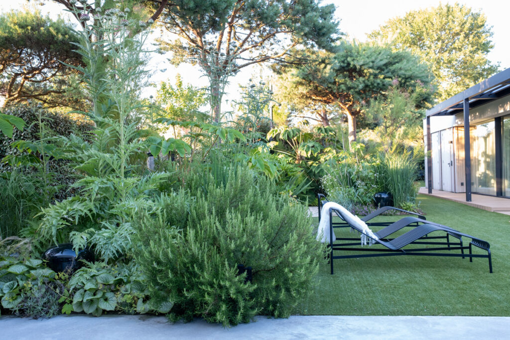 Tuinstudio Erwin Stam - Alterwood - Foto