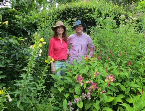 Welkom in het Luxury Gardens Paviljoen