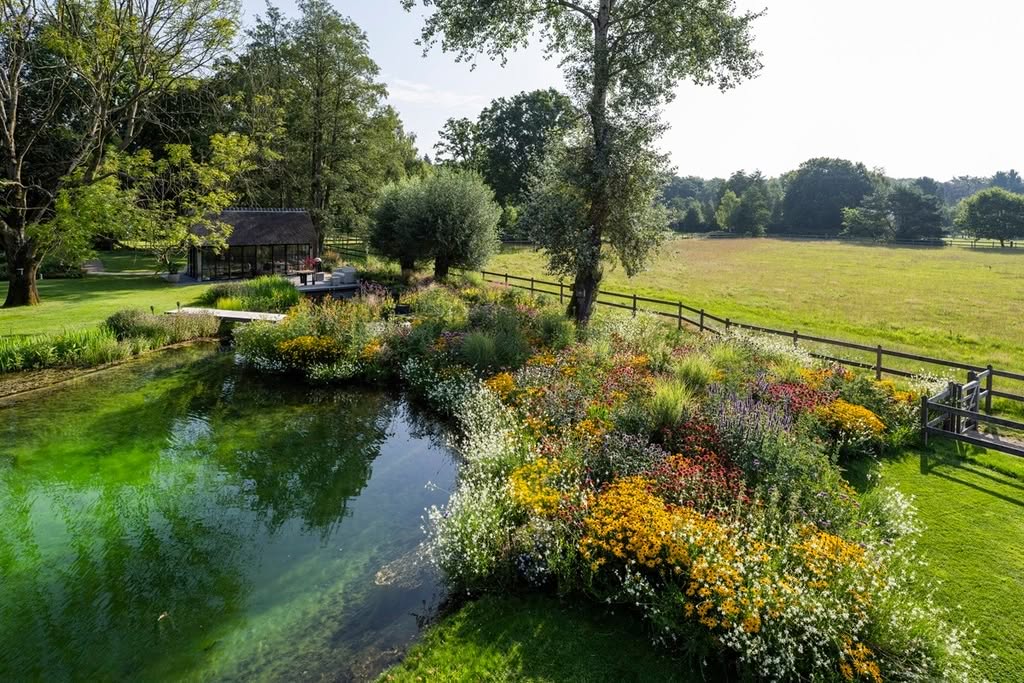 Border met tuinplanten in herfstkleur
