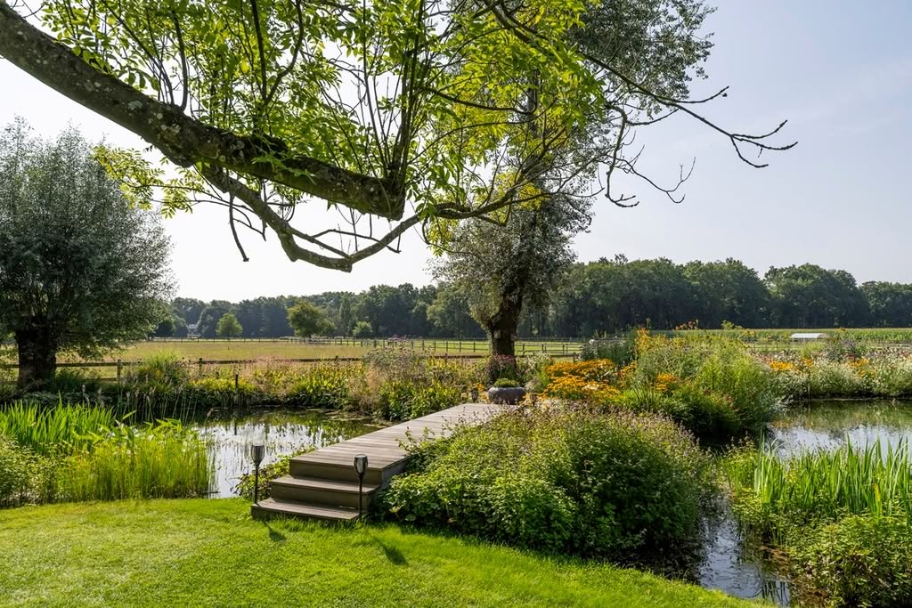 Landschappelijke tuin met houten bruggetje