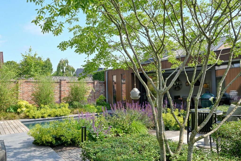 De Hoog Hoveniers - Jaro van Meerten - luxe tuin met zwembad en meerstammige boom