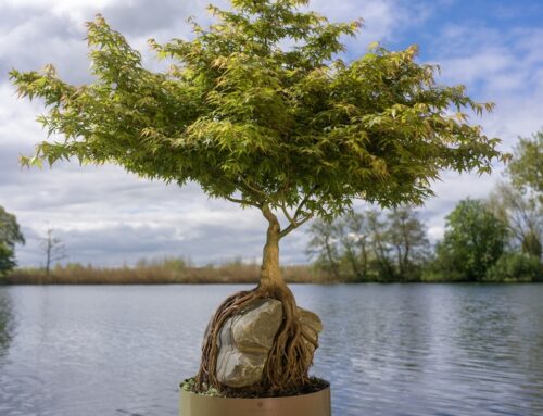 Waar natuur kunst wordt