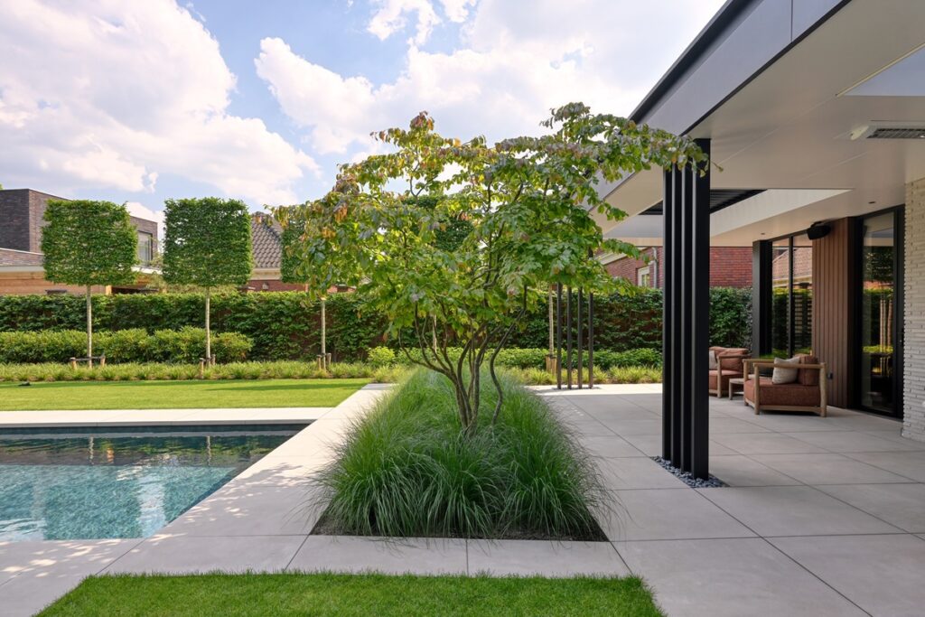 Luxe tuin, met zwembad, overkapping en meerstammige boom